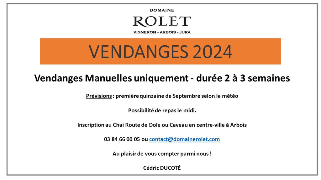 Vendanges 2024